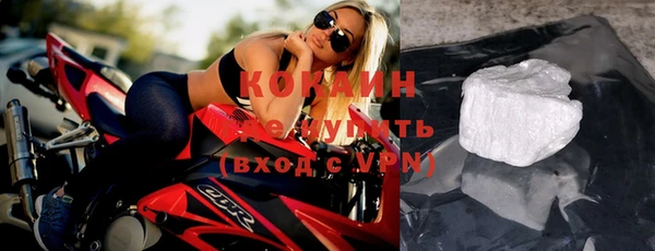 твердый Аркадак