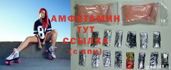 твердый Аркадак