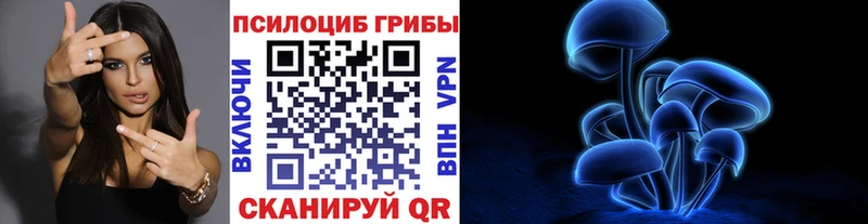 Галлюциногенные грибы прущие грибы  Дорогобуж 